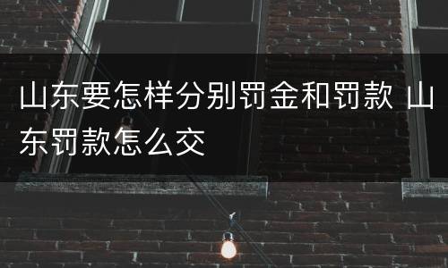山东要怎样分别罚金和罚款 山东罚款怎么交