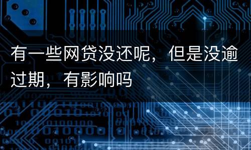有一些网贷没还呢，但是没逾过期，有影响吗