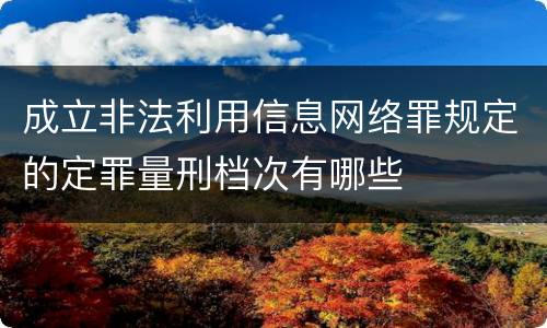 成立非法利用信息网络罪规定的定罪量刑档次有哪些