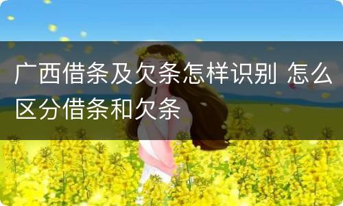 广西借条及欠条怎样识别 怎么区分借条和欠条