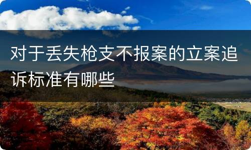 对于丢失枪支不报案的立案追诉标准有哪些