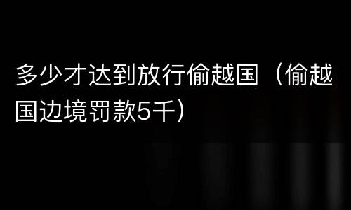 多少才达到放行偷越国（偷越国边境罚款5千）