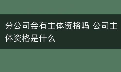 分公司会有主体资格吗 公司主体资格是什么