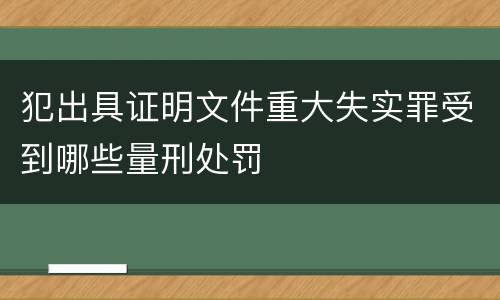 犯出具证明文件重大失实罪受到哪些量刑处罚