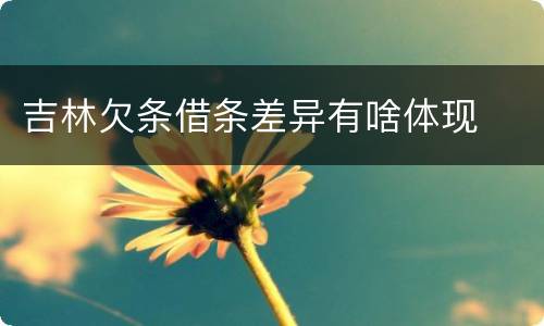 吉林欠条借条差异有啥体现