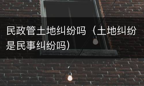 民政管土地纠纷吗（土地纠纷是民事纠纷吗）