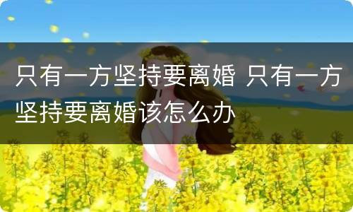 只有一方坚持要离婚 只有一方坚持要离婚该怎么办