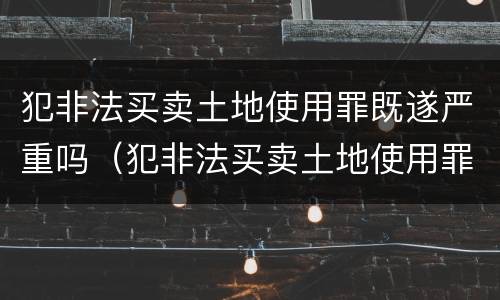 犯非法买卖土地使用罪既遂严重吗（犯非法买卖土地使用罪既遂严重吗判多少年）