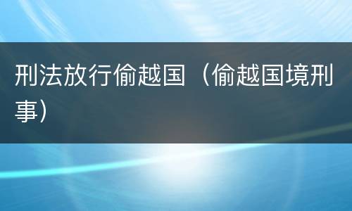 刑法放行偷越国（偷越国境刑事）