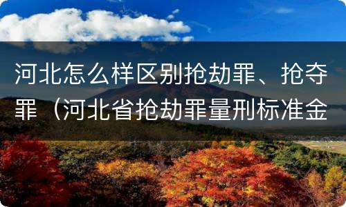 河北怎么样区别抢劫罪、抢夺罪（河北省抢劫罪量刑标准金额）