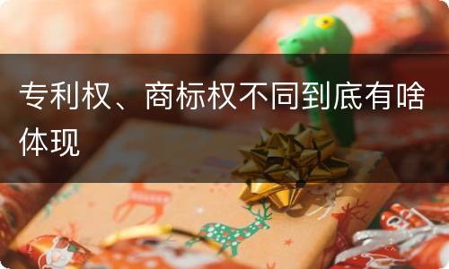 专利权、商标权不同到底有啥体现