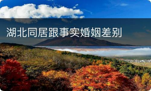 湖北同居跟事实婚姻差别