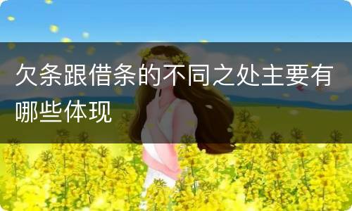 欠条跟借条的不同之处主要有哪些体现