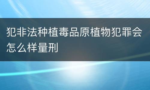 犯非法种植毒品原植物犯罪会怎么样量刑