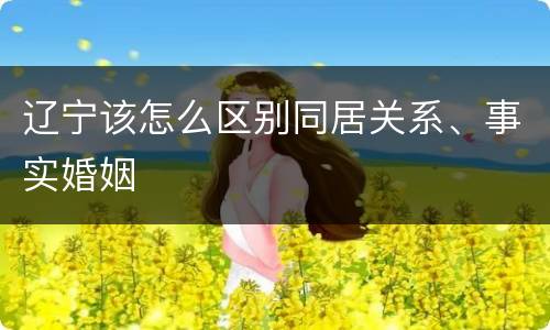 辽宁该怎么区别同居关系、事实婚姻