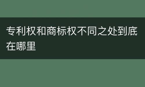 专利权和商标权不同之处到底在哪里