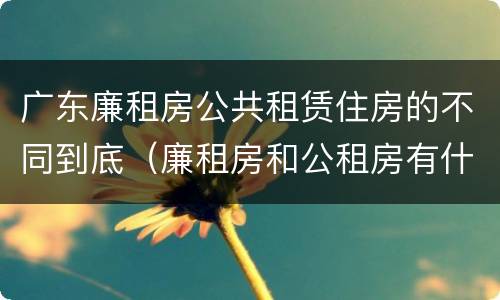 广东廉租房公共租赁住房的不同到底（廉租房和公租房有什么区别广州）