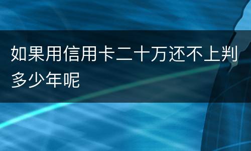 如果用信用卡二十万还不上判多少年呢
