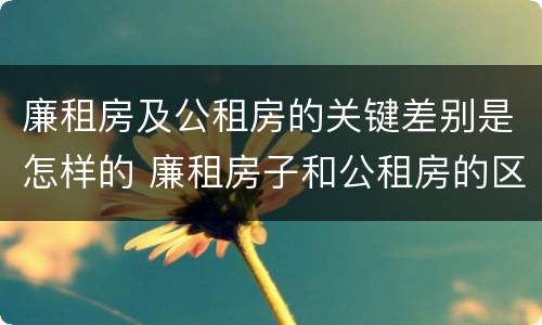 廉租房及公租房的关键差别是怎样的 廉租房子和公租房的区别