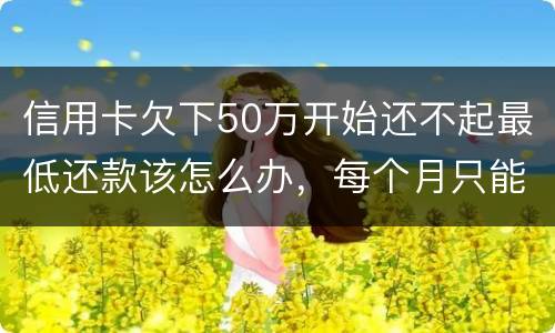 信用卡欠下50万开始还不起最低还款该怎么办，每个月只能还几百！这样会有什么后果