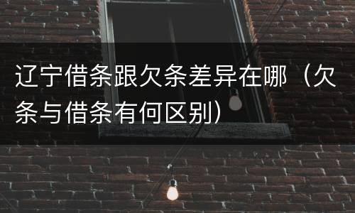 辽宁借条跟欠条差异在哪（欠条与借条有何区别）