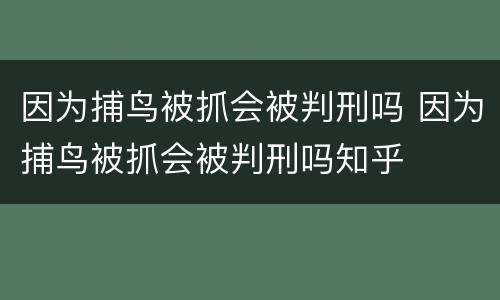因为捕鸟被抓会被判刑吗 因为捕鸟被抓会被判刑吗知乎