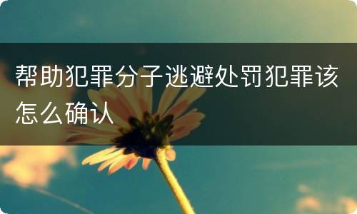 帮助犯罪分子逃避处罚犯罪该怎么确认