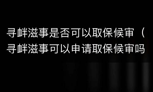 寻衅滋事是否可以取保候审（寻衅滋事可以申请取保候审吗）