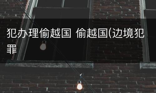 犯办理偷越国 偷越国(边境犯罪