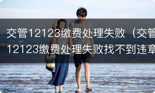 交管12123缴费处理失败（交管12123缴费处理失败找不到违章了）