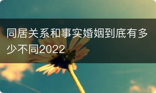 同居关系和事实婚姻到底有多少不同2022
