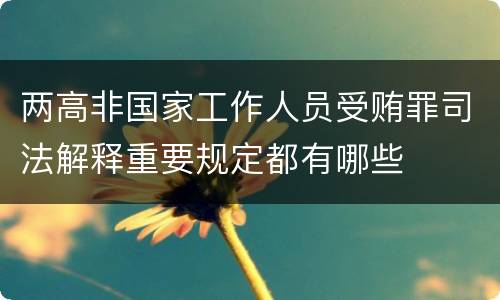 两高非国家工作人员受贿罪司法解释重要规定都有哪些