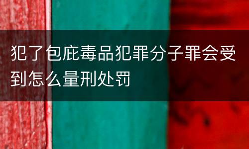 犯了包庇毒品犯罪分子罪会受到怎么量刑处罚