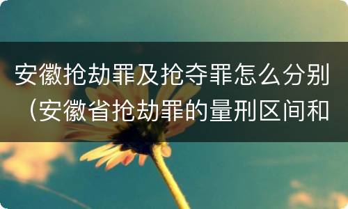 安徽抢劫罪及抢夺罪怎么分别（安徽省抢劫罪的量刑区间和量刑情节）