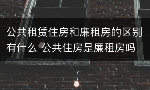 公共租赁住房和廉租房的区别有什么 公共住房是廉租房吗