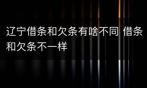 辽宁借条和欠条有啥不同 借条和欠条不一样