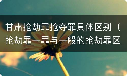 甘肃抢劫罪抢夺罪具体区别（抢劫罪一罪与一般的抢劫罪区别）