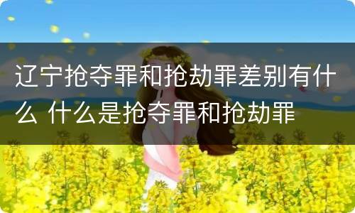 辽宁抢夺罪和抢劫罪差别有什么 什么是抢夺罪和抢劫罪