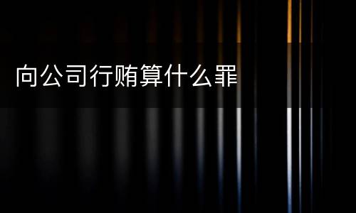 向公司行贿算什么罪