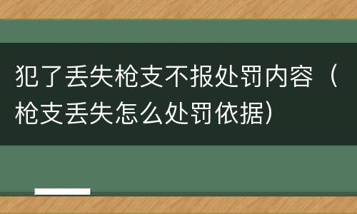犯了丢失枪支不报处罚内容（枪支丢失怎么处罚依据）