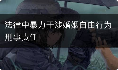 法律中暴力干涉婚姻自由行为刑事责任