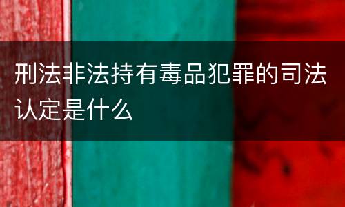 刑法非法持有毒品犯罪的司法认定是什么