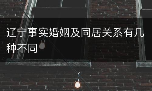 辽宁事实婚姻及同居关系有几种不同