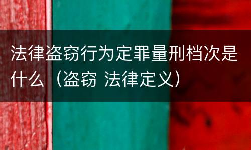 法律盗窃行为定罪量刑档次是什么（盗窃 法律定义）
