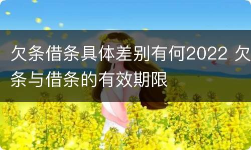 欠条借条具体差别有何2022 欠条与借条的有效期限