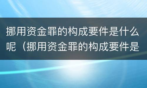 挪用资金罪的构成要件是什么呢（挪用资金罪的构成要件是什么呢）