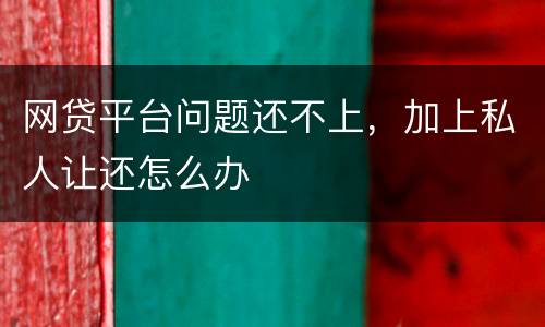 网贷平台问题还不上，加上私人让还怎么办