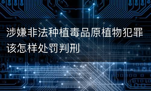 涉嫌非法种植毒品原植物犯罪该怎样处罚判刑
