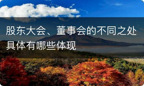 股东大会、董事会的不同之处具体有哪些体现