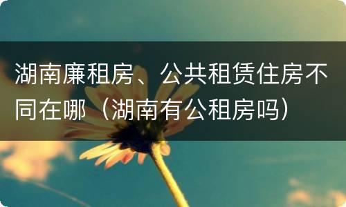 湖南廉租房、公共租赁住房不同在哪（湖南有公租房吗）